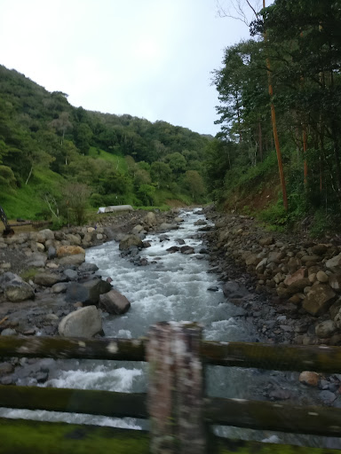 Remedios
