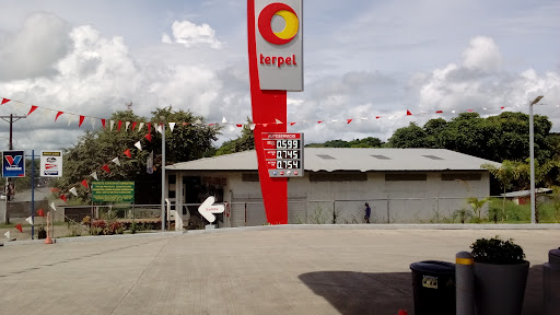 Estación Terpel | Pesé