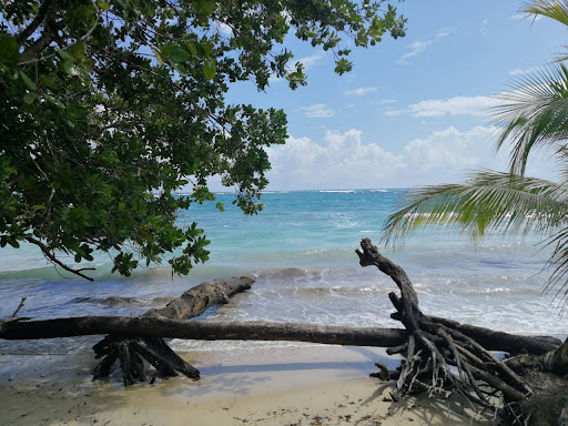Isla Bastimentos