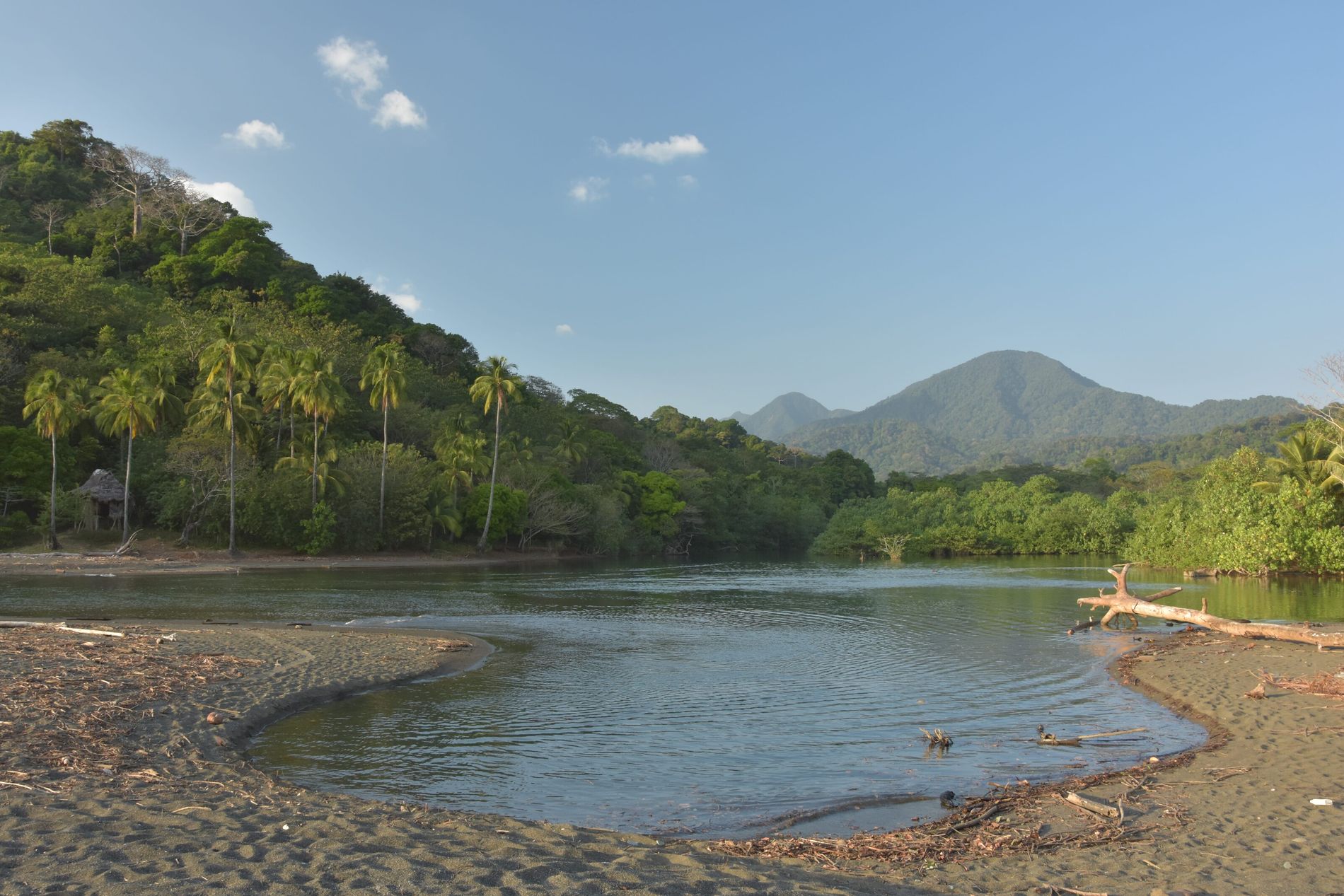 Darién 1 Darién: El Tapón del Darién, Selva y Frontera entre Colombia y Panamá